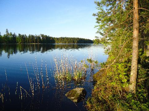 Kotaniemen rantaa