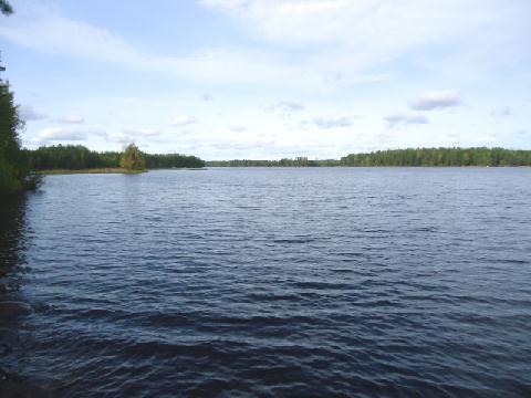 Järvi maisemaa