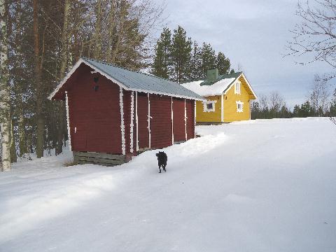 Tullaan Kotaniemeen Talvella